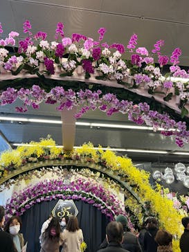 世界らん展2026-花と緑の祭典-に投稿された画像（2025/2/9）