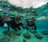 武藤潜水に投稿された画像（2025/2/9）