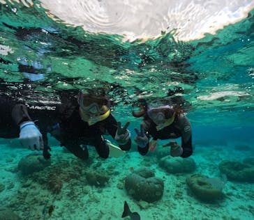 武藤潜水に投稿された画像（2025/2/9）