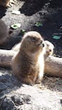 恩賜上野動物園に投稿された画像（2025/2/9）