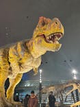 福井県立恐竜博物館に投稿された画像（2025/2/9）