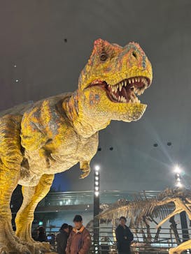 福井県立恐竜博物館に投稿された画像（2025/2/9）