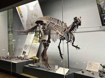 福井県立恐竜博物館に投稿された画像（2025/2/9）