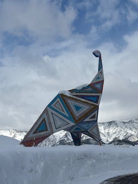 福井県立恐竜博物館に投稿された画像（2025/2/9）