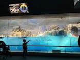 名古屋港水族館に投稿された画像（2025/2/9）