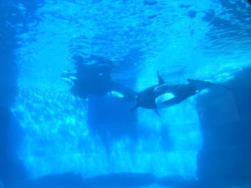 名古屋港水族館に投稿された画像（2025/2/9）