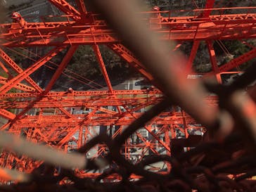 東京タワーに投稿された画像（2025/2/9）