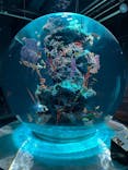 AQUARIUM × ART　atoaに投稿された画像（2025/2/9）