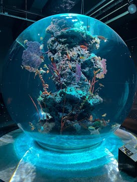 AQUARIUM × ART　atoaに投稿された画像（2025/2/9）