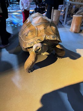 AQUARIUM × ART　atoaに投稿された画像（2025/2/9）