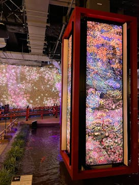 AQUARIUM × ART　atoaに投稿された画像（2025/2/9）