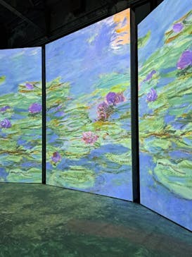 「モネ＆フレンズ・アライブ」神戸展に投稿された画像（2025/2/9）