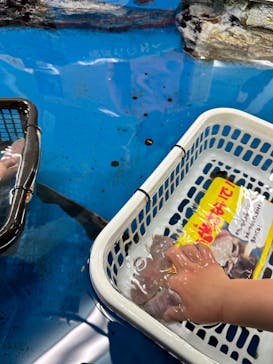 竹島水族館に投稿された画像（2025/2/9）