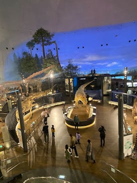 福井県立恐竜博物館に投稿された画像（2025/2/9）