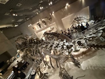 国立科学博物館に投稿された画像（2025/2/9）