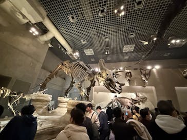 国立科学博物館に投稿された画像（2025/2/9）