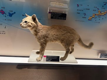 国立科学博物館に投稿された画像（2025/2/9）