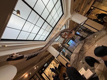 国立科学博物館に投稿された画像（2025/2/9）