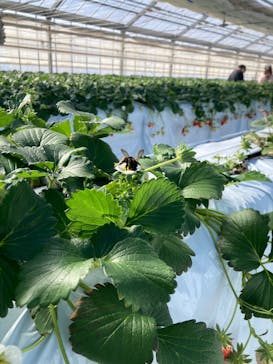 ＠FARMに投稿された画像（2025/2/9）