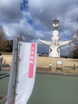万博記念公園に投稿された画像（2025/2/9）