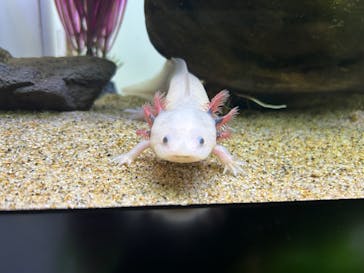 サンシャイン水族館に投稿された画像（2025/2/9）