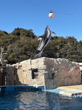 下田海中水族館に投稿された画像（2025/2/9）