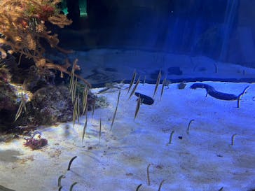 名古屋港水族館に投稿された画像（2025/2/9）