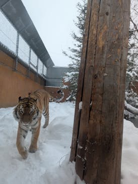 那須どうぶつ王国に投稿された画像（2025/2/9）