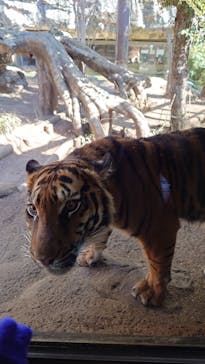 恩賜上野動物園に投稿された画像（2025/2/9）
