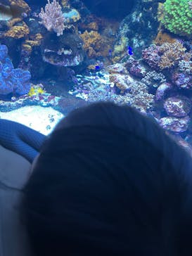サンシャイン水族館に投稿された画像（2025/2/9）