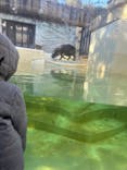 恩賜上野動物園に投稿された画像（2025/2/9）