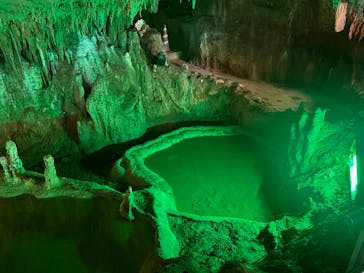 石垣島鍾乳洞に投稿された画像（2025/2/9）