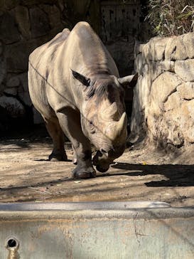 恩賜上野動物園に投稿された画像（2025/2/9）