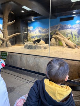 恩賜上野動物園に投稿された画像（2025/2/9）