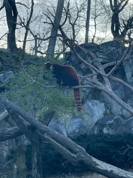多摩動物公園に投稿された画像（2025/2/9）