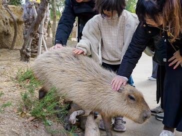 神戸どうぶつ王国に投稿された画像（2025/2/9）