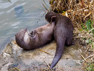 神戸どうぶつ王国に投稿された画像（2025/2/9）