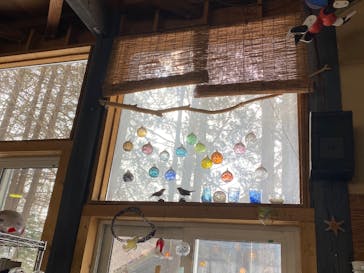 ニーウン・ペツガラス美術研究所に投稿された画像（2025/2/9）