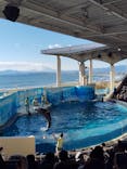 新江ノ島水族館に投稿された画像（2025/2/9）
