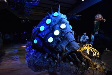 金曜ロードショーとジブリ展　三重展に投稿された画像（2025/2/7）