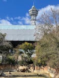 天王寺動物園に投稿された画像（2025/2/9）
