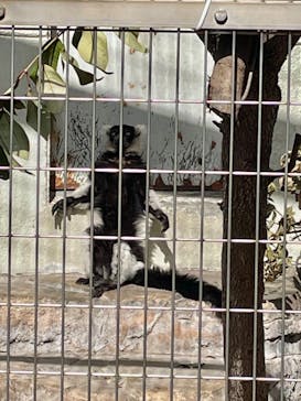 天王寺動物園に投稿された画像（2025/2/9）