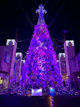 ひらかたパークに投稿された画像（2025/2/9）