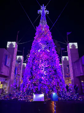 ひらかたパークに投稿された画像（2025/2/9）