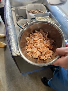 アクアマリンふくしまに投稿された画像（2025/2/9）