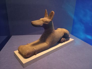 ブルックリン博物館所蔵 特別展 古代エジプトに投稿された画像（2025/2/9）