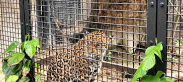 沖縄こどもの国に投稿された画像（2025/2/9）