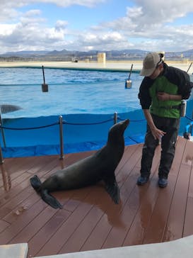 マリンワールド海の中道に投稿された画像（2025/2/9）