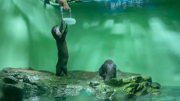 しながわ水族館に投稿された画像（2025/2/9）