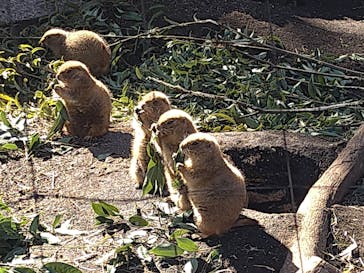 恩賜上野動物園に投稿された画像（2025/2/9）